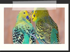 einmal angefasst-MEINS