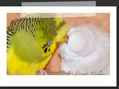 DAS kann der Mensch nicht ersetzen